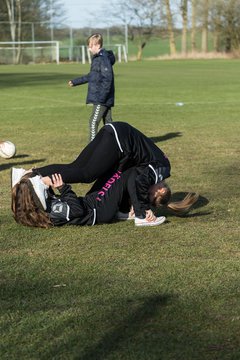 Bild 257 - C-Juniorinnen SV Steinhorst/Labenz - TSV Friedrichsberg-Busdorf : Ergebnis: 5:0